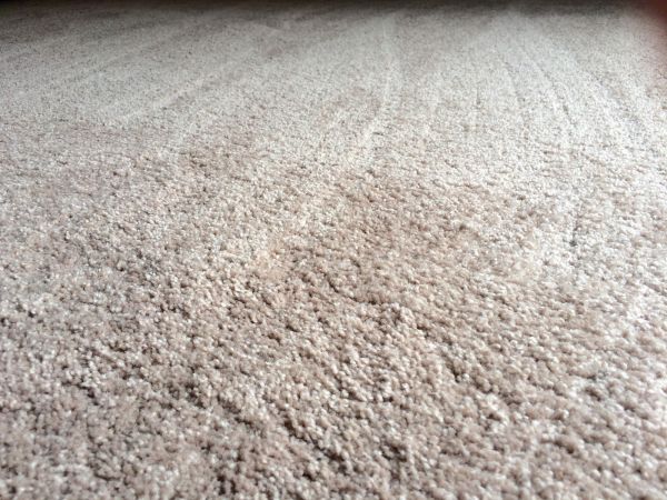 Plush Carpet Installation in Sioux Falls